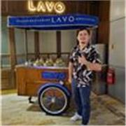 Online or Remote English Teacher or Tutor