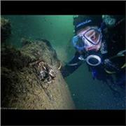 Spécialisé Primaire, BAC+2, Dunkerque. 
Apprenti CAP petite enfance.