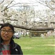 Math and Music Theory tutor teaching mostly high school students