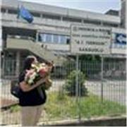 Ragazza di 20 anni, studentessa di medicina, diplomata al liceo linguistico offre lezioni di inglese, francese e tedesco.