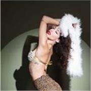 Profesor de Salsa, Bachata, Bellydance, y Heels