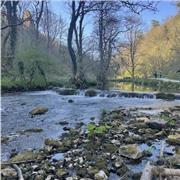 I am a passionate native english speaker of whom is eager to lend a helping hand to those who need my help