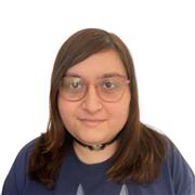 Docente di Informatica impartisce lezioni a studenti di Istituti Tecnici e Università