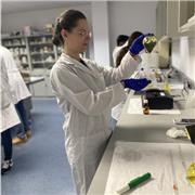 Estudiante de ingeniería que imparte cualquier tipo de asignatura básica. Priorizo la enseñanza online mediante plataforma virtual con resultados muy buenos. También abierta a la enseñanza presencial