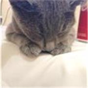 Español a tu estilo, aprende a tu ritmo (clases personalizadas para ti)