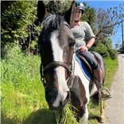 soutien scolaire et aide aux devoirs toutes classes