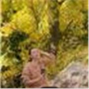 Profesora Titulada con un nivel C1 de Español