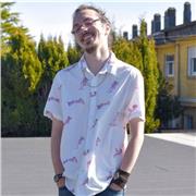 Traductor y editor de novelas ligeras en inglés y español ofrece clases particulares