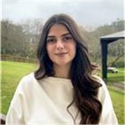 Clases de inglés para todos los niveles (Primaria, ESO y Bachillerato) y preparación de IELTS