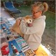 Italiano per stranieri adulti e adolescenti, lezioni interattive