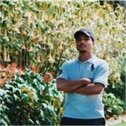 Native English tutor offering online English classes for beginners and intermediate learners, with a supportive approach.