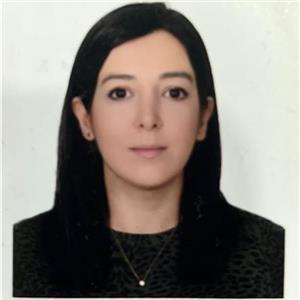 Farzaneh Hassanmiri