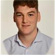 Profesor de primaria apto para todos los niveles de la etapa