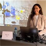 English tutor for all ages, I will help you how to deal with the language.