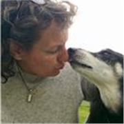 Beginners and improvers. Let me teach you to draw and paint animals. We can use your own pet as a model or we can go wild!