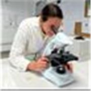 Enseignante de biologie-écologie dans le secondaire (lycée professionnel)