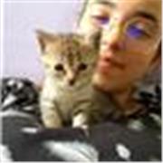 Sono una giovane ragazza con tantissime passioni! Amo gli animali, le lingue e la pallavolo!