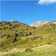 Hi ich heiße Lara und bin 14 Jahre alt. Ich habe Erfahrung im Englisch Nachhilfe geben. (Alter von 6 bis 12 Jahren)