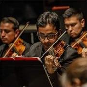 Maestro particular de música (piano y violín)
