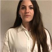 Traduttore di Inglese online LinkedIn post