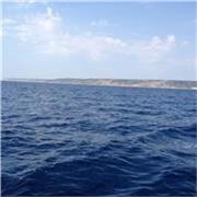 Lezioni private a studenti delle scuole elementari, scuole e superiori