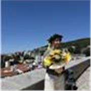 Affordable Italian Lessons from a native speaker! Grammar/conversation/writing/…