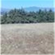 Lector escritura y redacción, aprende a leer de una forma mas rápida y a tener un mejor avance en tu escritura todos