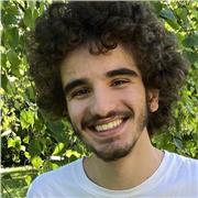 🎓 Ripetizioni di Matematica, Fisica e Chimica – Studente Politecnico di Milano
