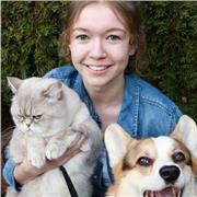 Mathenachhilfe Lehrerin für Grundschule und andere Schulen (Realschule/ Gymnasium)