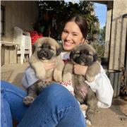 Ambiciosa, siempre trato de mejorar. Me gustaría dar clases a niños de primaria e instituto.