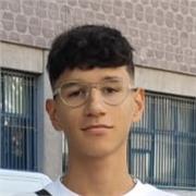 No tengo experiencia pero se me dan bien algunas materias como Biología, Lengua e Ingles, también otras como Física y Química