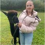 I am an A-level biology student offering online sessions for secondary school age pupil. 