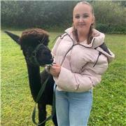 I am an A-level biology student offering online sessions for secondary school age pupil.