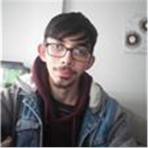 Luis Henrique Bagorrilha Moreira