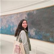 Le lingue sono una montagna da scalare? Posso aiutarti ad arrivare in vetta!