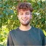 Studente universitario di lingue offre lezioni private di inglese a Lecce, conveniente