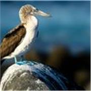 Clases particulares de biología y química