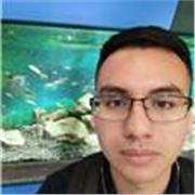Aprende a programar desde cero con C# y .NET | Clases online prácticas y personalizadas