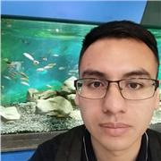 Aprende a programar desde cero con C# y .NET | Clases online prácticas y personalizadas