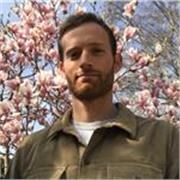 English Tutor Available Online or face-to-face (Madrid)