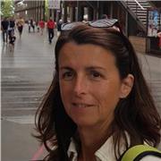 Professeur de comptabilité-gestion et ressources humaines