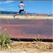 Allenamenti personalizzati per concorsi pubblici. Allenamenti di atletica leggera e ogni sport. A Catanzaro e online 