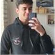 Insegno le basi della programmazione Java e l'utilizzo del pacchetto Office/LibreOffice