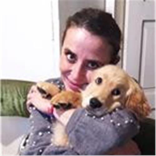 user photo
