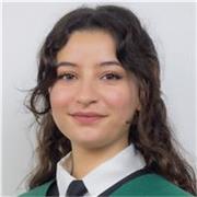 Soy profesora apasionada por el inglés. Imparto las clases de forma on-line.