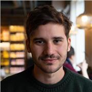 Doctor ofrece clases de informática y programación en C, C , Java, Python, PHP