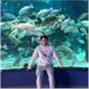 Maestro de apoyo en educación basica de secundaria