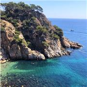 Chica española con buen currículum académico se ofrece a ayudar a niños y niñas de hasta 4° ESO