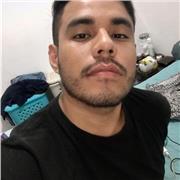 Profesor de programas de Arquitectura
