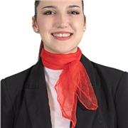 Estudiante con bachillerato internacional realizado en Irlanda, con un C1 certificado en Inglés y un B1 certificado en Francés.